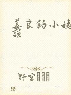 善良的小姨子小说
