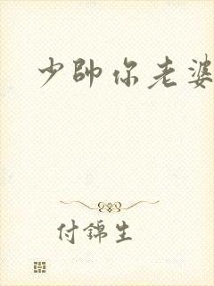 少帅你老婆