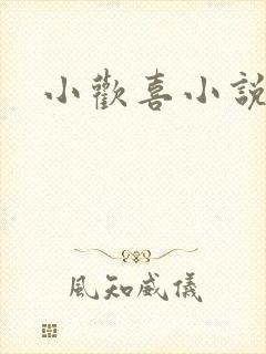 小欢喜小说