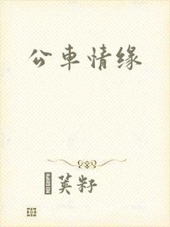 公车情缘