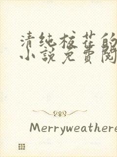 清纯校花的秘密小说免费阅读