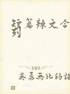 短篇辣文合集系列