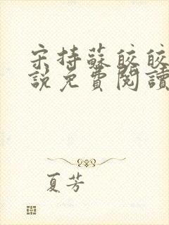 宋持苏皎皎的小说免费阅读