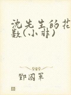 沈先生的花式调数(小非)