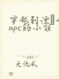 穿越到湮婸世界npc的小说