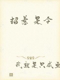 招惹 是今