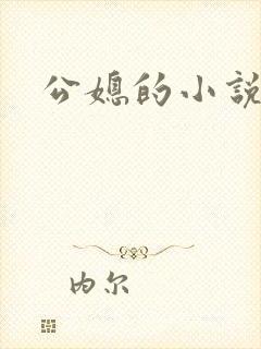 公媳的小说
