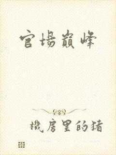 官场巅峰