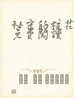 秘密的校花小说免费阅读