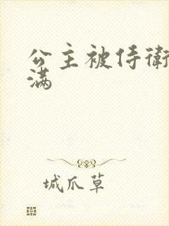 公主被侍卫填的满