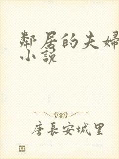 邻居的夫妇交换小说