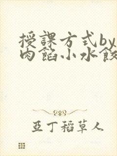 授课方式by 肉馅小水饺