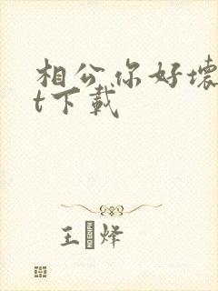 相公你好坏txt下载