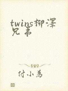twins柳泽兄弟