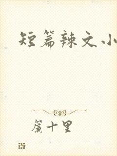 短篇辣文小说