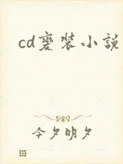 cd变装小说
