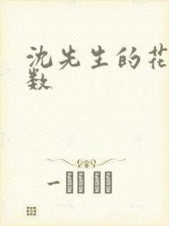 沈先生的花式调数