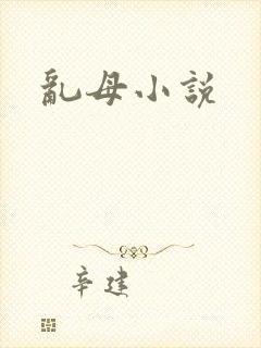 乱母小说