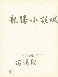龙腾小说城