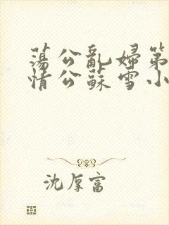 荡公乱妇第1章情公苏雪小说