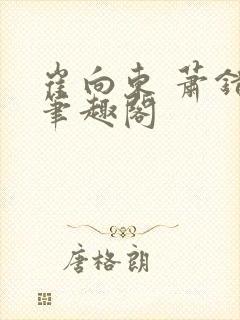 崔向东 萧错 笔趣阁