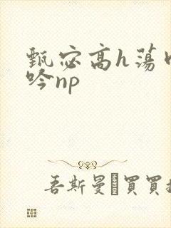 甄宓高h荡肉呻吟np