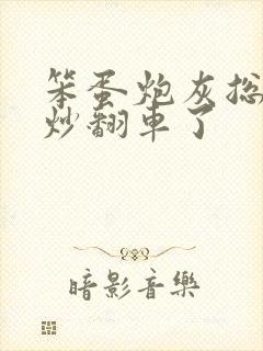 笨蛋炮灰总被爆炒翻车了