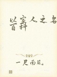 以家人之名百度百科