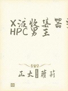 X液收集器系统HPC男主