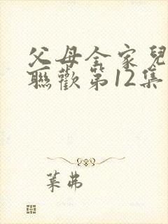 父母全家儿女大联欢第12集