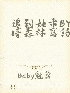 追到她乖BY黑暗森林写的小说