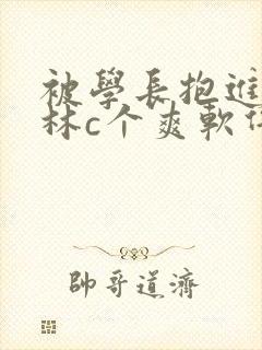 被学长抱进小树林c个爽软件