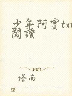 少年阿宾txt阅读