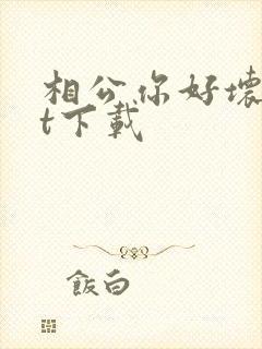 相公你好坏txt下载