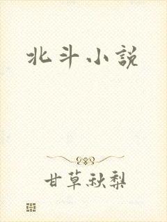北斗小说