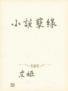 小说孽缘