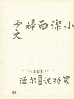 少妇白洁小说全文