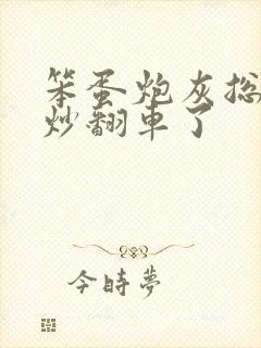 笨蛋炮灰总被爆炒翻车了