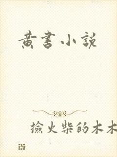 黄书小说