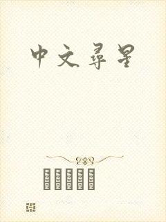 中文寻星