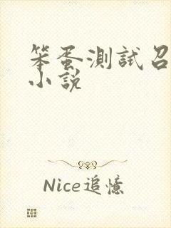 笨蛋测试召唤兽小说