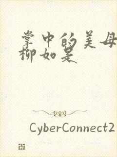 掌中的美母版主柳如是