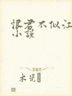 恨君不似江楼月小说