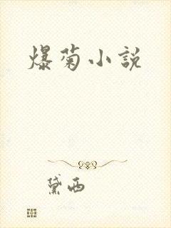 爆菊小说
