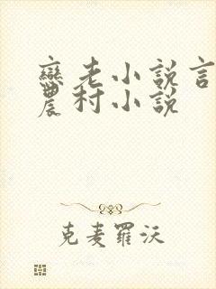 恋老小说言情网农村小说