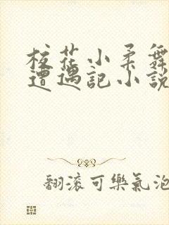 校花小柔舞蹈室遭遇记小说