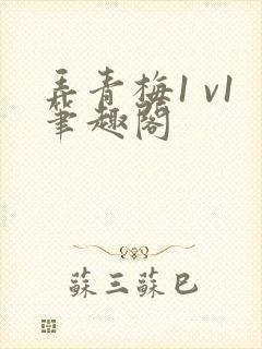 弄青梅1 v1笔趣阁