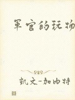军官的玩物