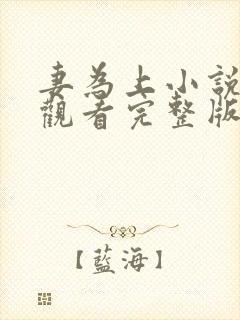 妻为上小说免费观看完整版笔趣阁