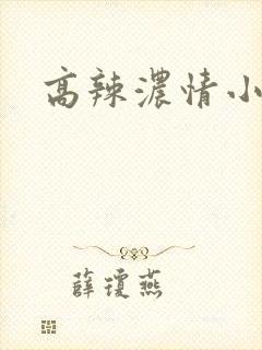 高辣浓情小说